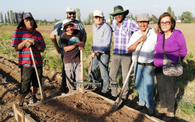 Programa de Bachillerato busca contribuir a la alimentación saludable y equitativa de la sociedad