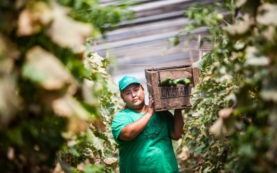 No leímos de ecofeminismo, aprendimos luchando