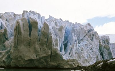 La alianza de Argentina y Chile para proteger el crucial krill antártico