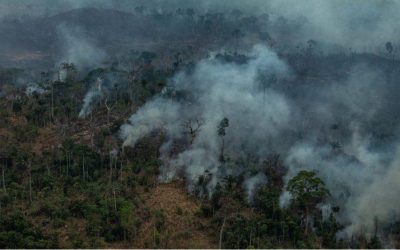 Crisis ambiental en la Amazonas de Brasil